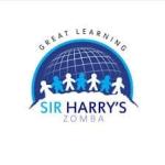 High School Physics and Mathematics Teacher
