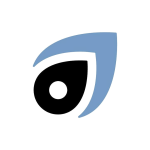 FINANCIAL ADVISORS – Bona Life