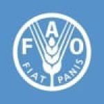 Lead Technical Advisor