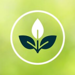 QUALITY ASSURANCE CONSULTANT – Towdah Academy