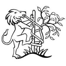 Haukeland House Manager