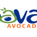Civil Engineering Manager
