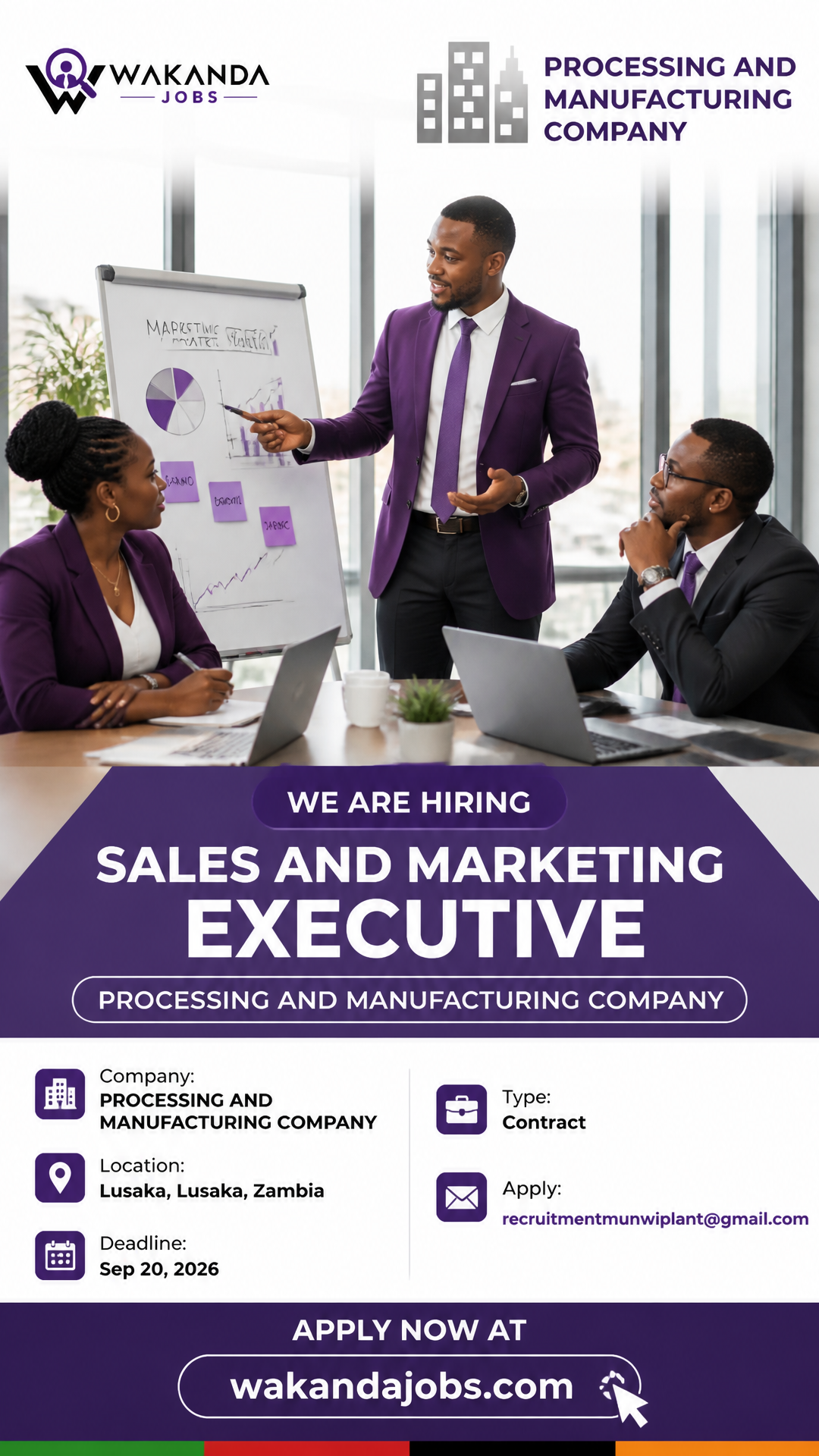 Sales and Marketing Executive